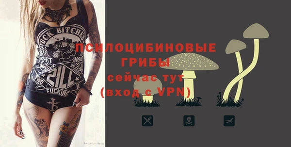 хмурый Семикаракорск