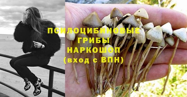 скорость Арсеньев